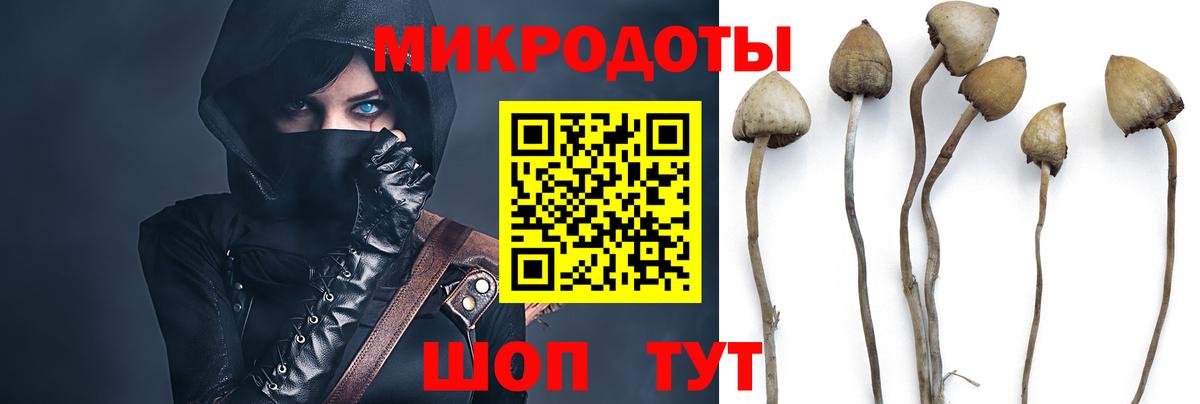 Шарыпово  Галлюциногенные грибы мицелий  Галлюциногенные грибы Psilocybine cubensis  Вход с VPN 